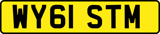 WY61STM