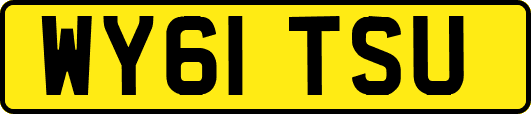WY61TSU