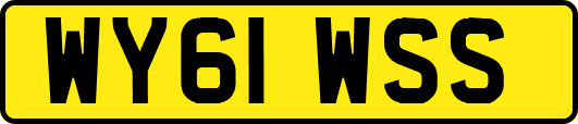 WY61WSS