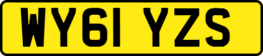 WY61YZS