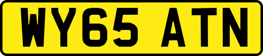 WY65ATN
