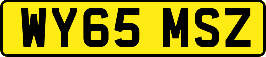 WY65MSZ