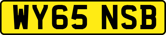 WY65NSB