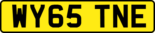 WY65TNE