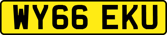 WY66EKU