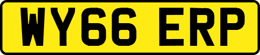 WY66ERP