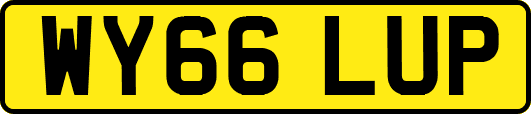 WY66LUP