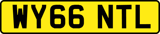 WY66NTL
