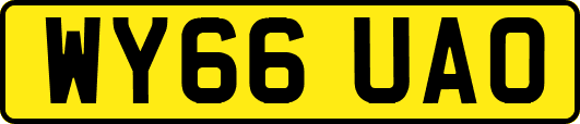 WY66UAO