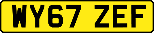 WY67ZEF