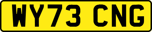 WY73CNG