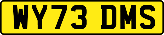 WY73DMS