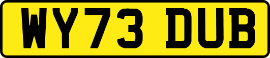 WY73DUB