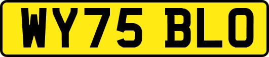 WY75BLO
