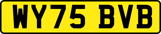 WY75BVB