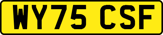 WY75CSF