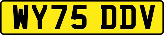 WY75DDV