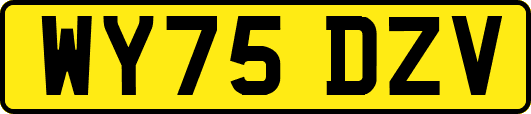 WY75DZV