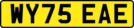 WY75EAE
