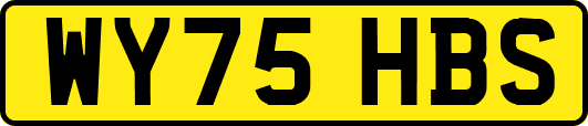 WY75HBS