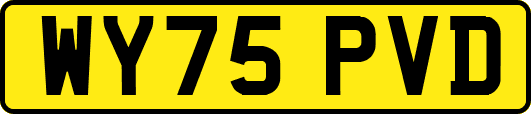 WY75PVD