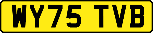 WY75TVB