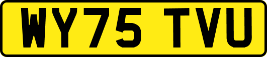 WY75TVU