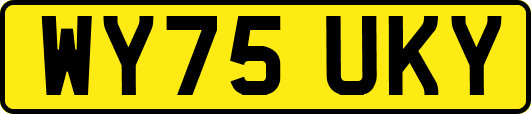 WY75UKY
