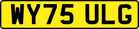 WY75ULG