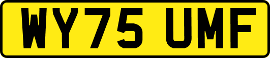 WY75UMF