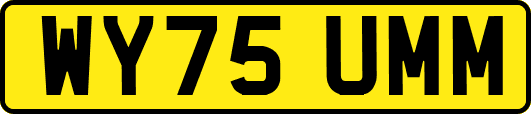 WY75UMM