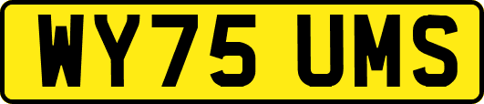 WY75UMS