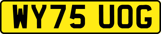 WY75UOG
