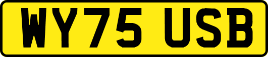 WY75USB