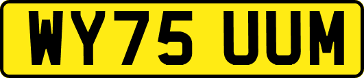 WY75UUM