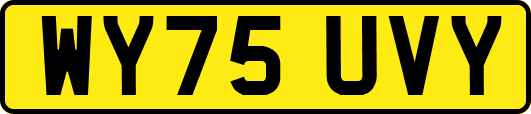 WY75UVY