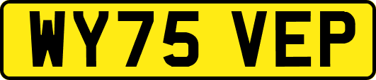 WY75VEP