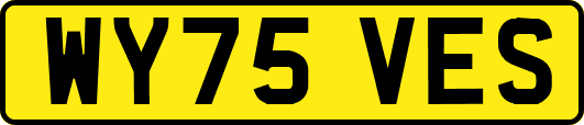 WY75VES