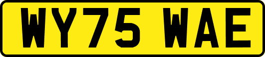 WY75WAE