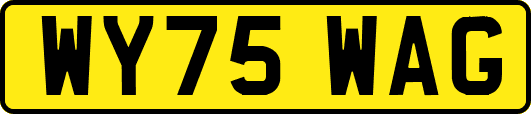 WY75WAG
