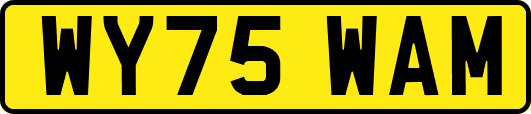 WY75WAM