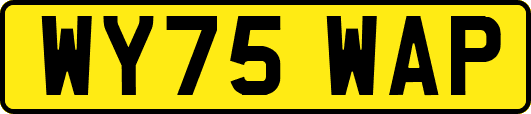 WY75WAP
