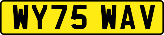 WY75WAV