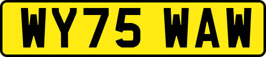 WY75WAW