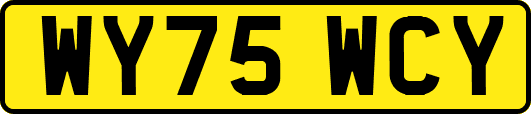 WY75WCY