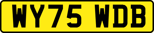 WY75WDB