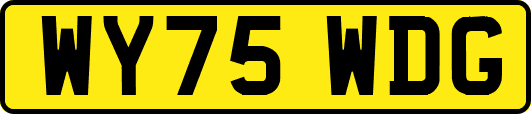 WY75WDG