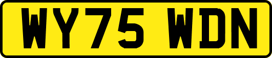 WY75WDN