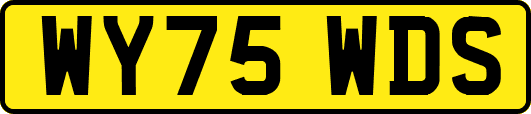 WY75WDS