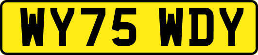 WY75WDY